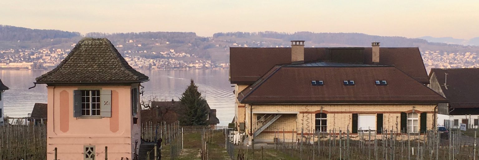 «Das WBZW steckt In einer Sturm und Drangphase» Obst und Wein